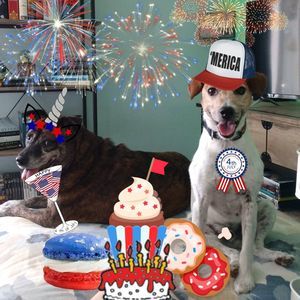 Meet your Posher, Amie